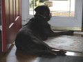 2010-04_21 Hemi